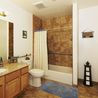 Bathroom with tub and shower combo, grab bars, and wood vanity